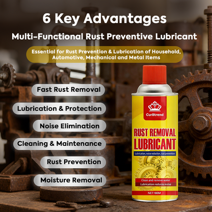 Anti-Rust Lubricant Spray & Rust Remover