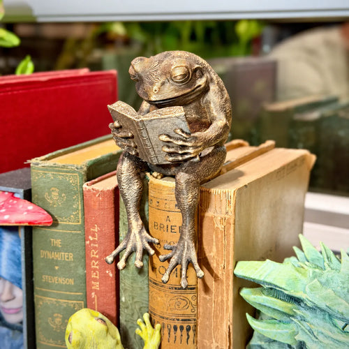 🐸 Reading Frog Shelf Sitter – Whimsical Book Lover Décor