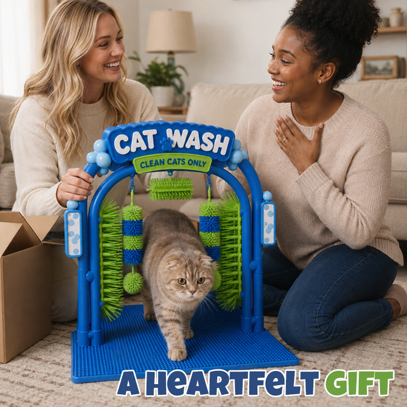 Self-grooming cat wash station as a pet gift