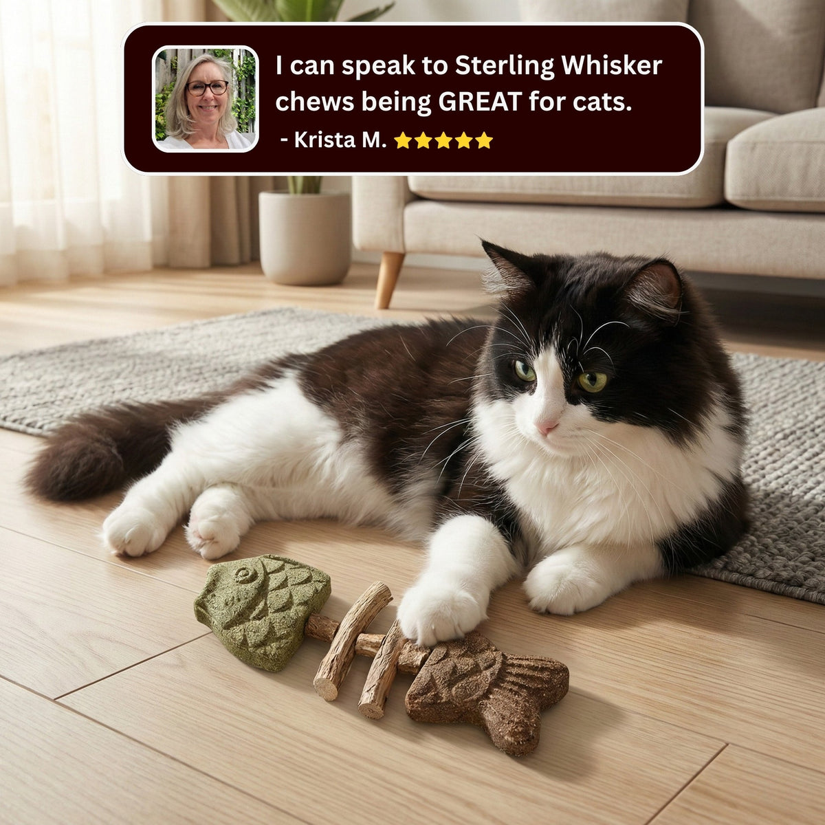 🐟😻 Realistic Grilled Fishbone Cat Toy – Catnip & Silvervine Dental Chew Stick 🐾🐱