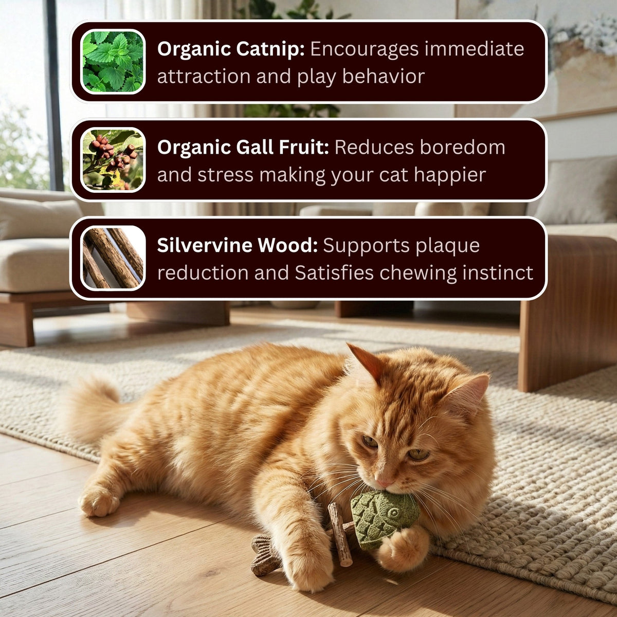 🐟😻 Realistic Grilled Fishbone Cat Toy – Catnip & Silvervine Dental Chew Stick 🐾🐱