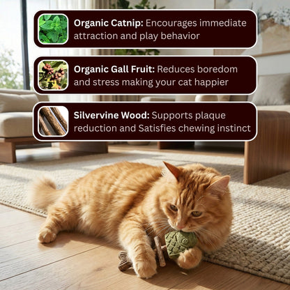 🐟😻 Realistic Grilled Fishbone Cat Toy – Catnip & Silvervine Dental Chew Stick 🐾🐱