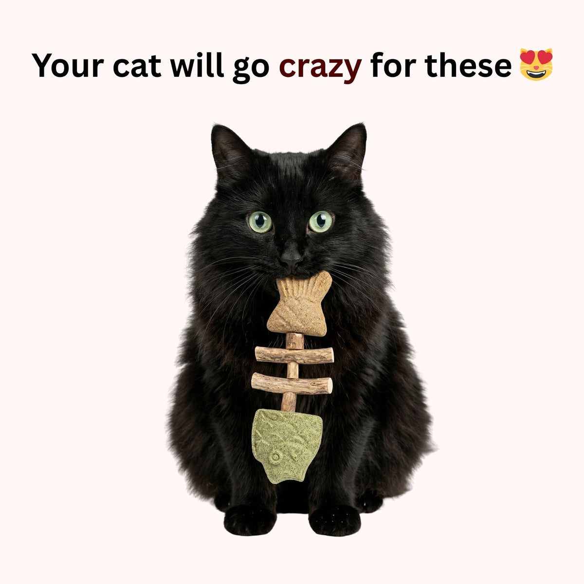🐟😻 Realistic Grilled Fishbone Cat Toy – Catnip & Silvervine Dental Chew Stick 🐾🐱