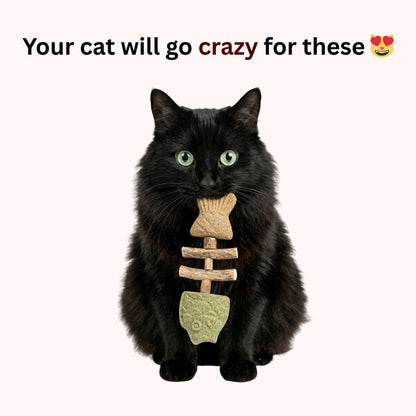 🐟😻 Realistic Grilled Fishbone Cat Toy – Catnip & Silvervine Dental Chew Stick 🐾🐱