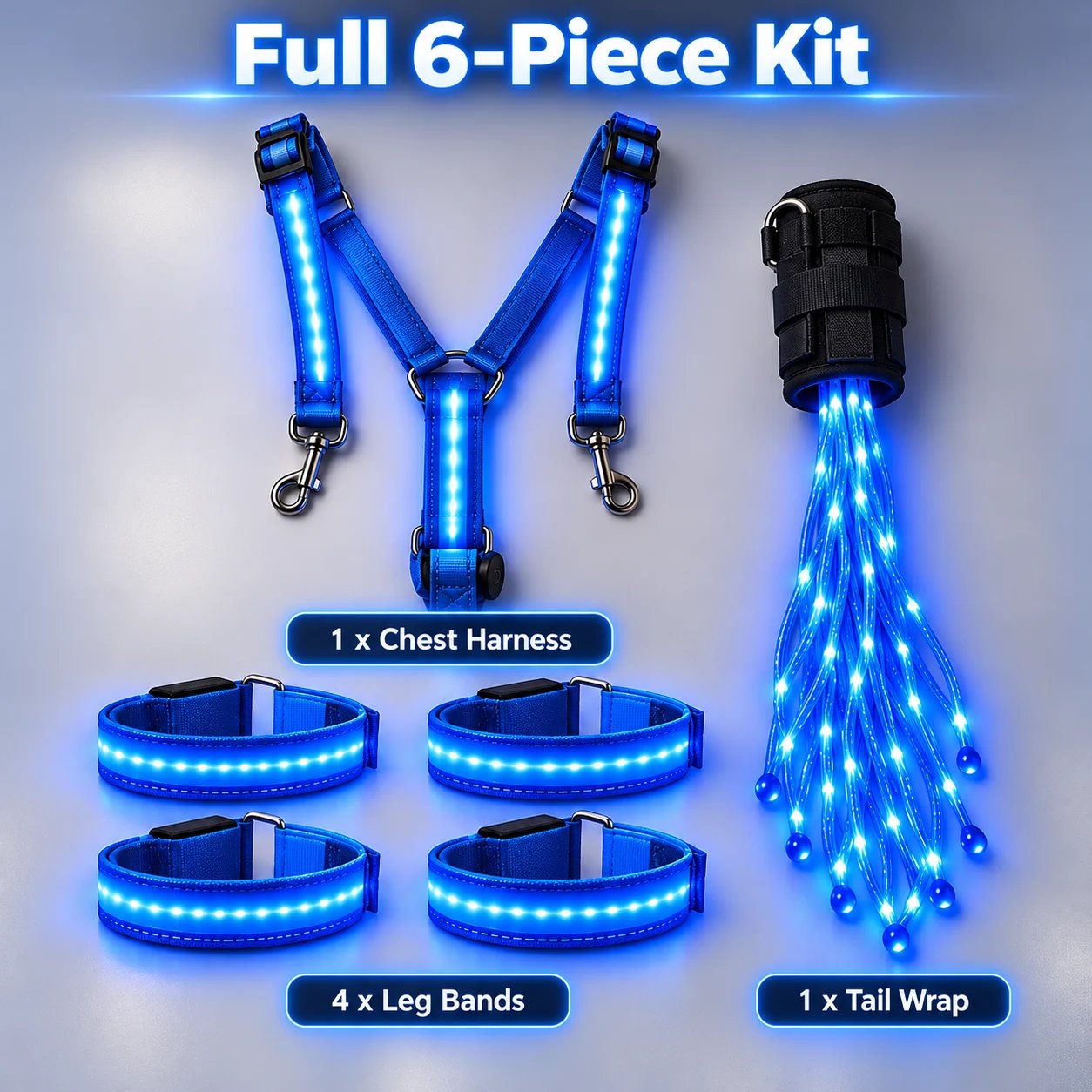 Full six piece horse LED glow kit with chest harness four leg bands and tail wrap