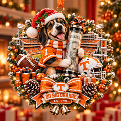 🏈🎄 College Football Money Surprise Ornament