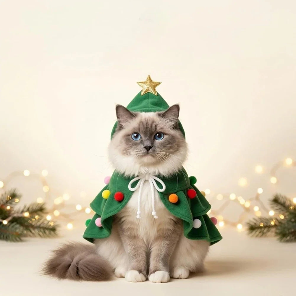 Cat in green Christmas tree hooded cape with golden star