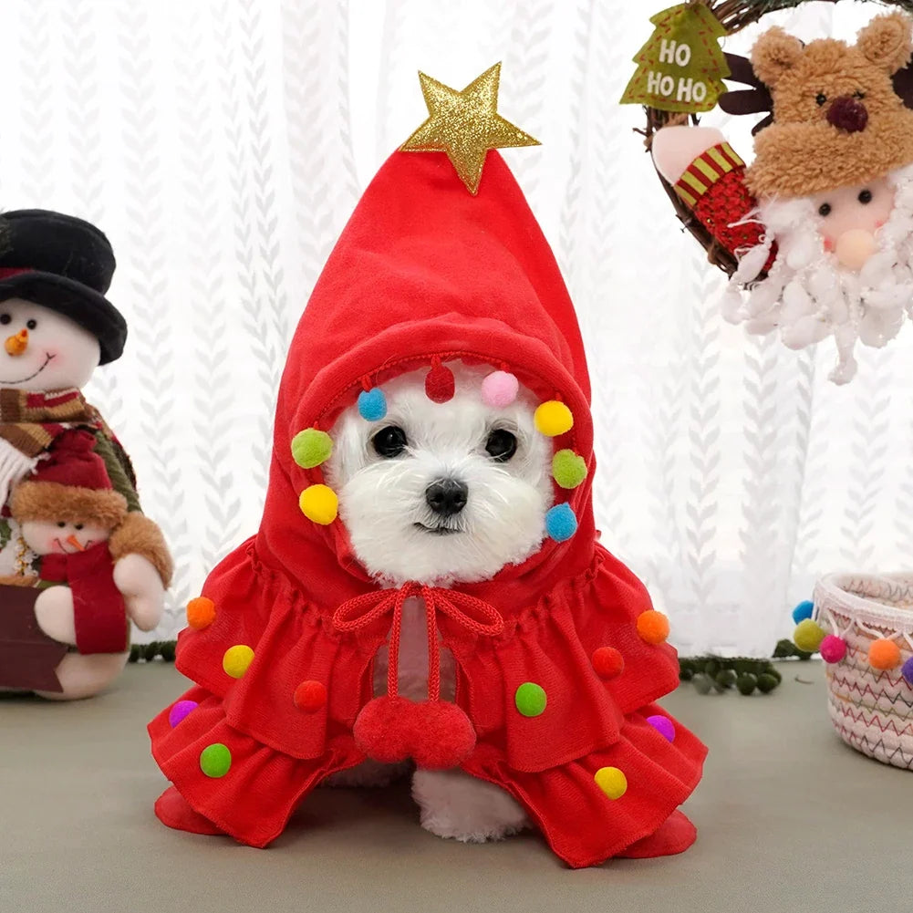 Small white dog wearing red Christmas tree cape with front tie and gold star