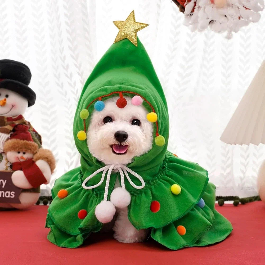 Small white dog dressed in green Christmas tree cape at a holiday display