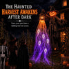 Haunted Scarecrow