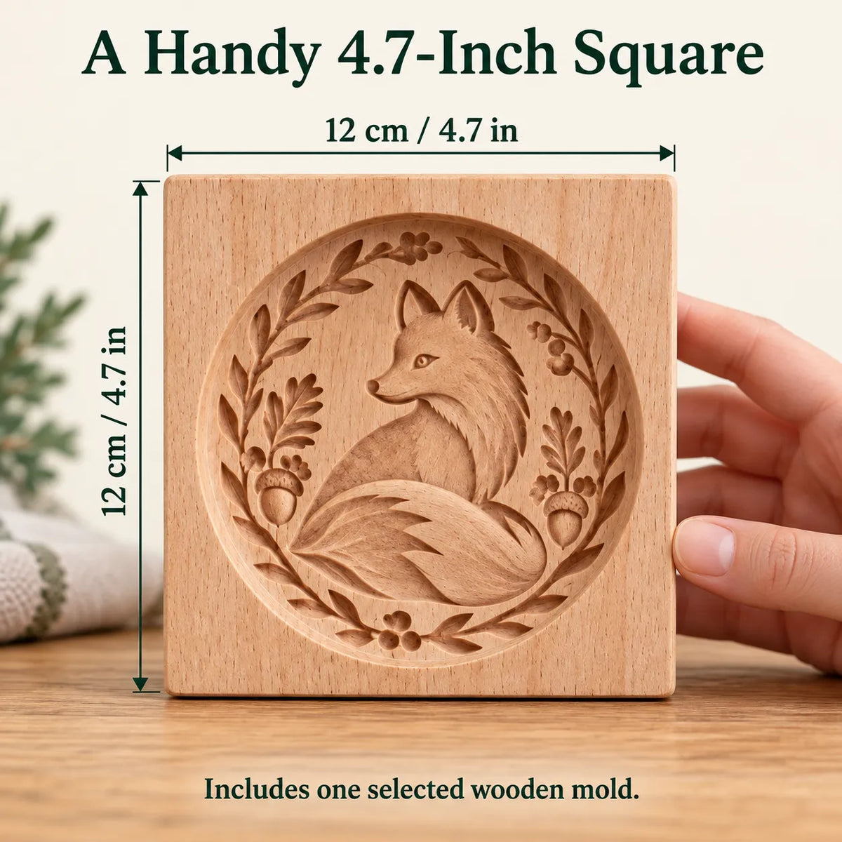 Woodland cookie mold 12 cm by 12 cm size reference