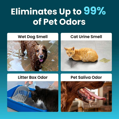 OzoFreshen supplier illustration of several pet odor scenarios