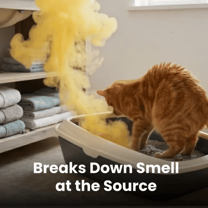 OzoFreshen Pet Odor Neutralizer – For Litter Box, Urine & Wet-Dog Smells