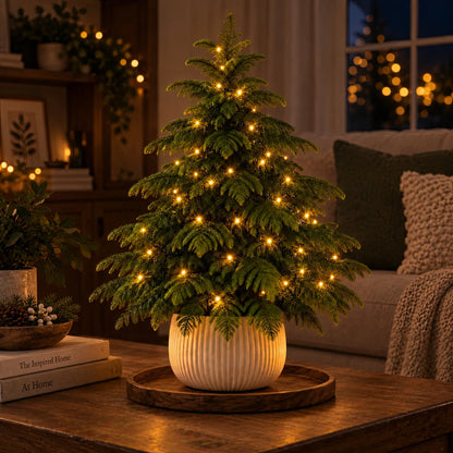 Fairy Forest Pine Tree