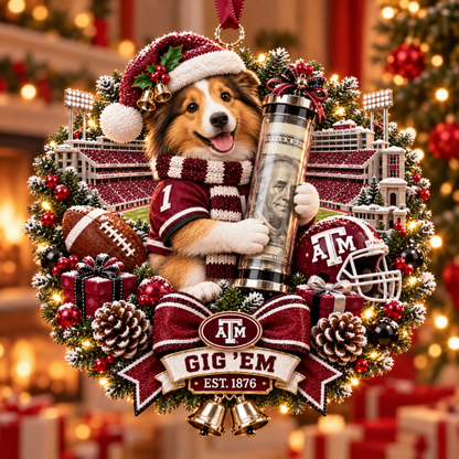 🏈🎄 College Football Money Surprise Ornament