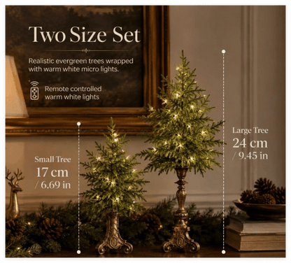 Vintage Lighted Norfolk Pine Trees