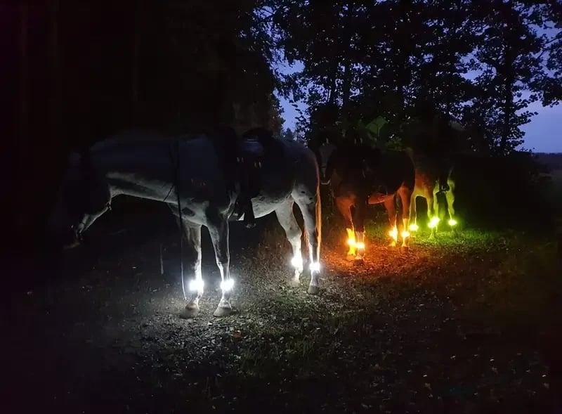 🐎 Horse LED Leg Straps – 4 Pack | Rechargeable-Look Night Riding Safety Lights ✨