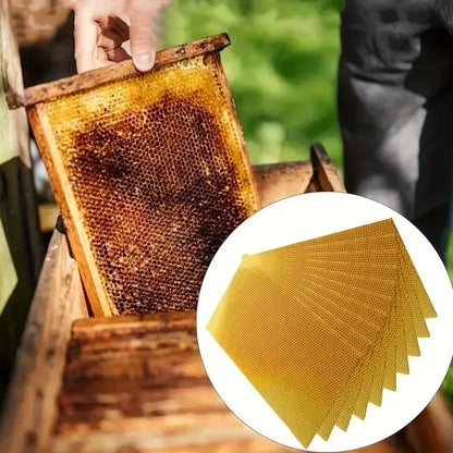 🔥HOT SALE🔥📢🕯️ DIY Beeswax Candle Making Kit (12-Piece Set) – Create Your Own Cozy Glow!