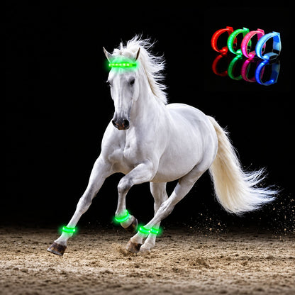 🐎 Horse LED Leg Straps – 4 Pack | Rechargeable-Look Night Riding Safety Lights ✨