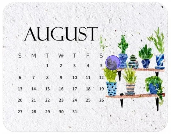 ✨⏳ Last Day Promotion🌱Eco-Friendly Plantable ''Timeless'' Seed Calendar 2027