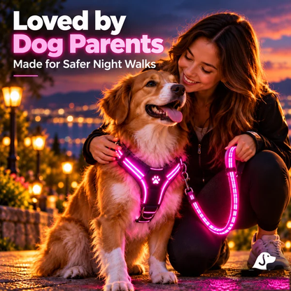 🐾 LED Light-Up Dog Harness & Leash Set – High-Visibility Gear for Night Walks 🌙