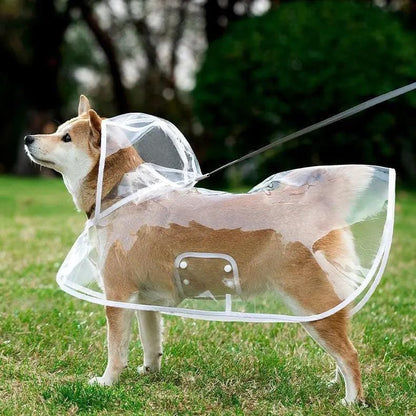 🥳2026 HOT SALE🥳💞50K+ SOLD! 🐕☔ 50% OFF! Transparent Waterproof Dog Raincoat – crystal clear protection, adjustable fit, EVA material. Keeps pup dry & visible on rainy walks! 🛡️💚