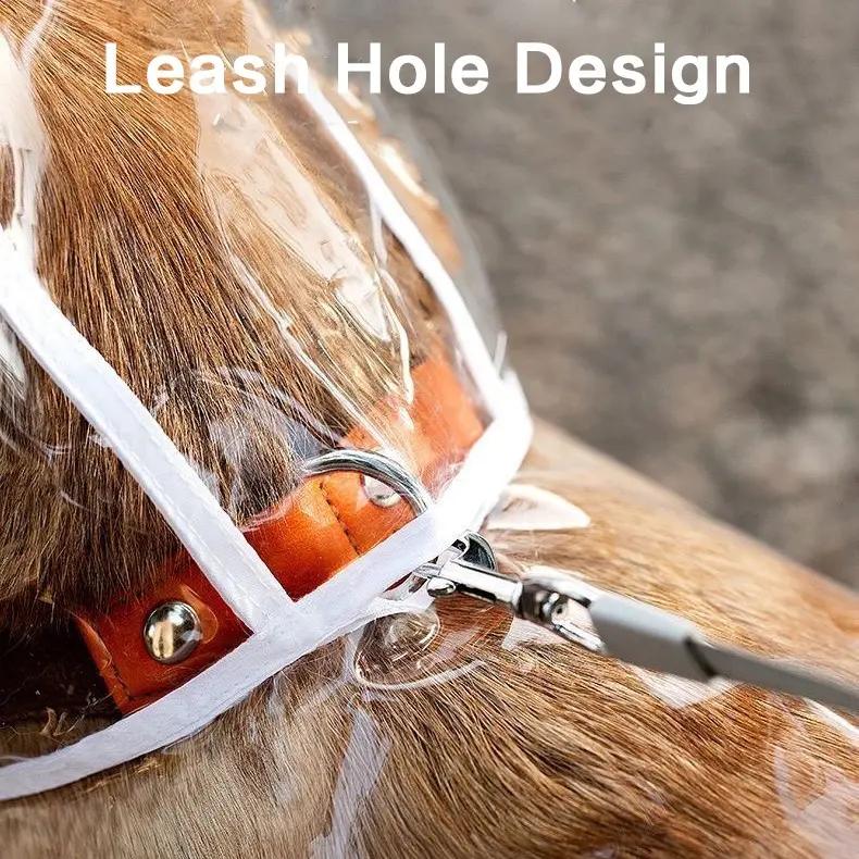 🥳2026 HOT SALE🥳💞50K+ SOLD! 🐕☔ 50% OFF! Transparent Waterproof Dog Raincoat – crystal clear protection, adjustable fit, EVA material. Keeps pup dry & visible on rainy walks! 🛡️💚