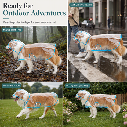 🥳2026 HOT SALE🥳💞50K+ SOLD! 🐕☔ 50% OFF! Transparent Waterproof Dog Raincoat – crystal clear protection, adjustable fit, EVA material. Keeps pup dry & visible on rainy walks! 🛡️💚