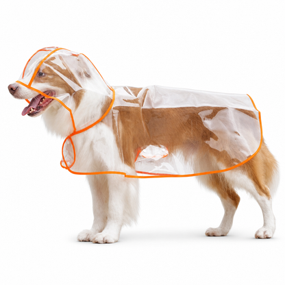 🥳2026 HOT SALE🥳💞50K+ SOLD! 🐕☔ 50% OFF! Transparent Waterproof Dog Raincoat – crystal clear protection, adjustable fit, EVA material. Keeps pup dry & visible on rainy walks! 🛡️💚