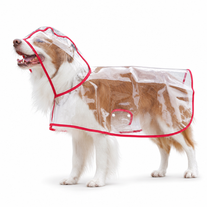 🥳2026 HOT SALE🥳💞50K+ SOLD! 🐕☔ 50% OFF! Transparent Waterproof Dog Raincoat – crystal clear protection, adjustable fit, EVA material. Keeps pup dry & visible on rainy walks! 🛡️💚