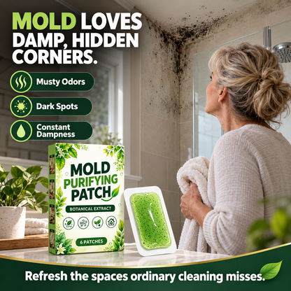 🧪50% OFF NOW! 6Pcs Mold Purifying Patches – Botanical Mildew Removal Pads